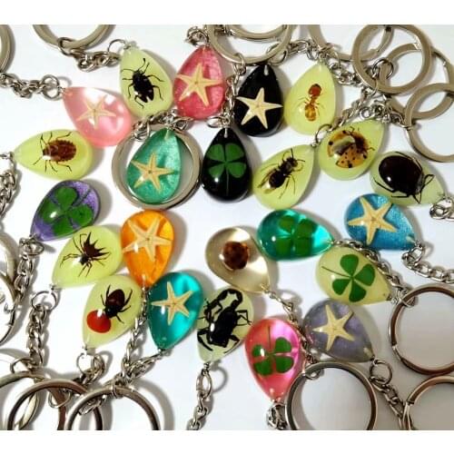 YQTDMY 12 pcs mixed color four leaf clover starfish insect charming keychain Specimen keychain Crafts