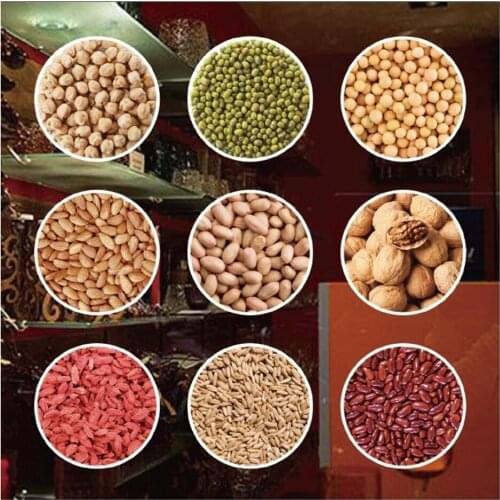 19cm Dia Grains Millet Red Yellow Green White Bean Walnut Almond Sticker Rice Shop Window Decoration Combination Wall Stickers