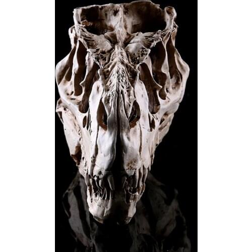 Rare Resin Croc T-Rex T Rex Skull Tyrannosaurus Rex Skull Bonehead by 3DKitbash