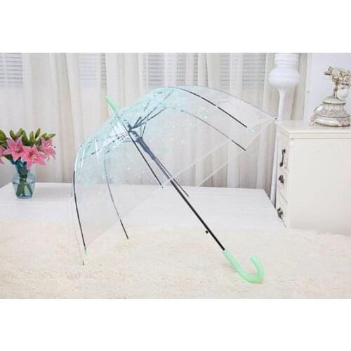 2021 New Romantic Transparent Clear Flowers Bubble Dome Umbrella Half Automatic For Wind Heavy Rain