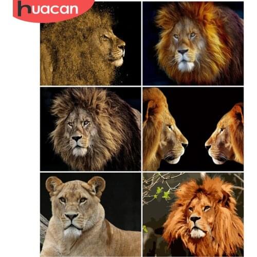 HUACAN DIY Pictures By Number Lion Kits Drawing On Canvas Painting By Numbers Animal Hand Painted Paintings Gift Home Decor