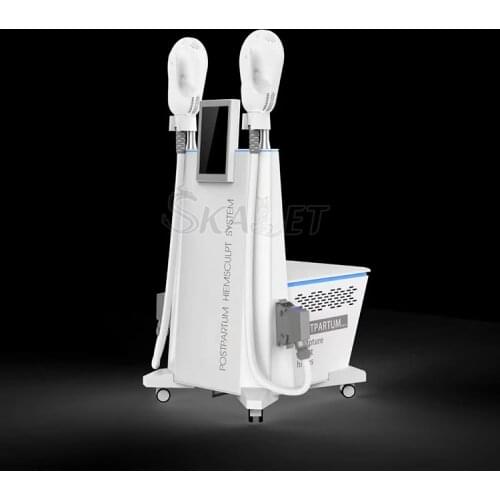 Electromagnetic Build Muscle Burn Fat Train Abdomen Remove Fat Anti-cellulite EMSlim Body Sculpture Beauty Hiemt Machine