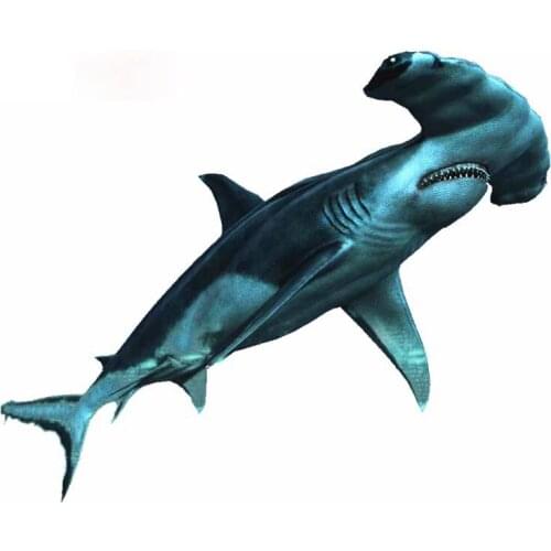 Personality Hammerhead Shark Car Stickers Vinyl Car Wrap Custom Printing Waterproof Window Truck Decal Apply To Car Window