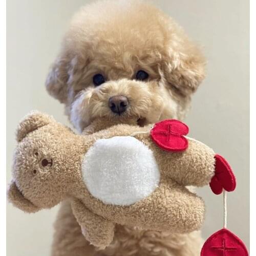 Ins New Korean Pocket Love Tibetan Food Bear Toys Sleeping Dog Toys Export Pet Paper Toys