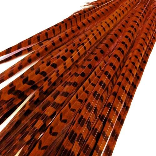 Natural Ringneck Pheasant Tail Feathers for Crafts 25-70cm/8-28" Pheasant Feathers for Clothes Plumas Carnaval Plume Decoration