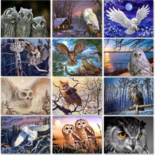 SDOYUNO Oil Paint By Numbers Kits Owl DIY Painting By Numbers On Canvas Frameless 60x75cm Home Decor Animals Wall Art