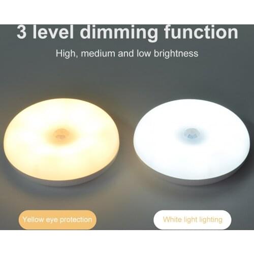 Portable LED Night Light Human Body Induction Lighting Lamp for Cabinet Bedroom Closet Kitchen Stairs