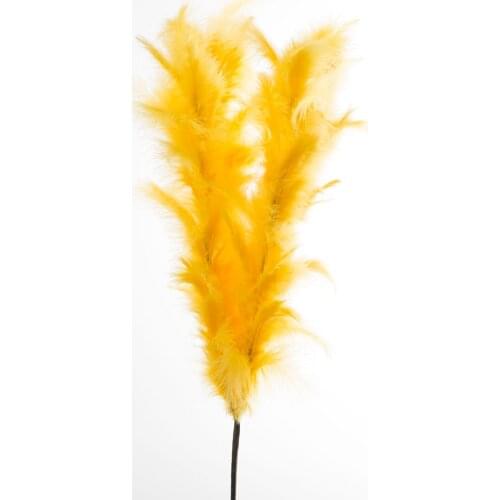 Veramaya Decorative Feathers