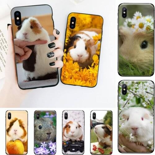 Cute animal Guinea pig Slim Phone Case for iPhone 11 12 mini pro XS MAX 8 7 6 6S Plus X 5S SE 2020 XR