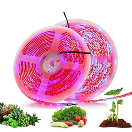 JOYLIT LED Plant Lamps