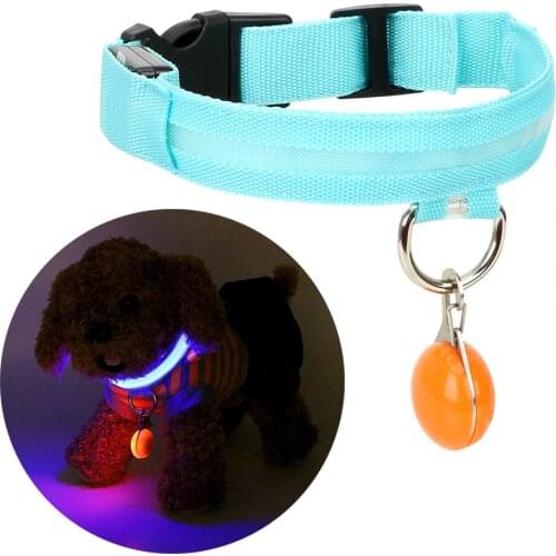 Glow In The Dark Pet Supplies LED Pet Dog Collar Blue Green Dog Flashing Leash Night Safety Nylon