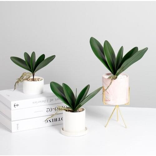 1 pcs Artificial Green Butterfly Orchid Leaf Plastic Flower Leaf Home Wedding Party Garden Decoration Plant Room Art Flower