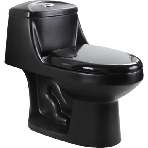 Golden dragon wholesale siphonic corona style south american siphonic cheap one piece toilet washdown closet