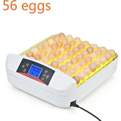 All-In-One Intelligent Full-automatic Egg Incubator Hatcher 56 Eggs Hatching Machine for Chicken Duck Transparent Plastic