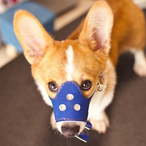 Pet Dog Mouth Cover Dog Muzzles Adjustable French Bulldog Muzzle Dog Mouth Breathable Mask Muzzle