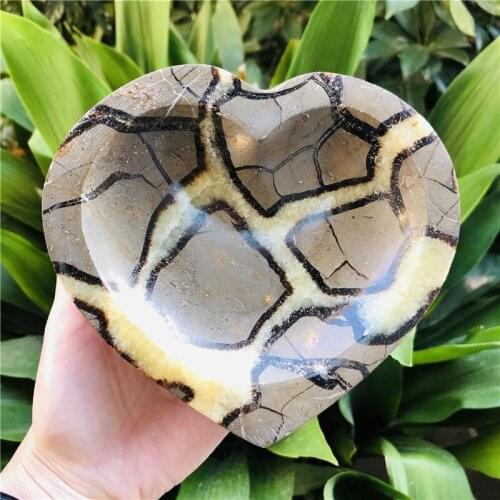 Natural dragon septarian Crystal Ashtray Heart specimen healing