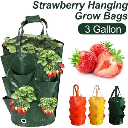 1Pc Creative 3 Gallon Strawberry Grow Bag Outdoor Garden Breathable Hanging Vegetable Flower Nursing Pot with Handle