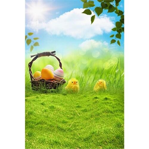 5x7ft Happy Easter Eggs Basket Photo Background Eggs Basket Blue Sky Grassland Nature Countryside View Photography Backdrops