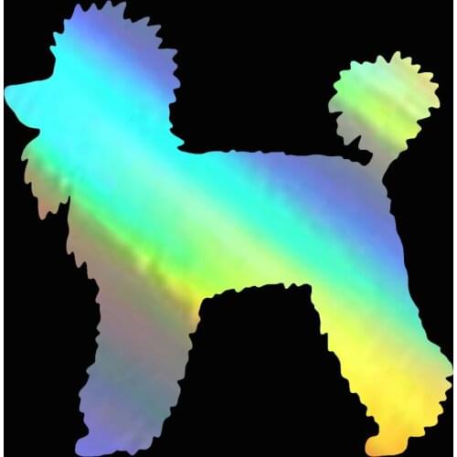 12.4*12.7CM Pet Poodle Dog Car Stickers Cute Vinyl Decal 3D Funny Car Styling Truck Decoration Motorcycle Accessories Decals