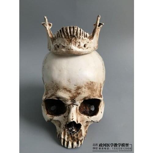 1: 1 Skull Model skeleton model Medical Teaching model Art sketch education model