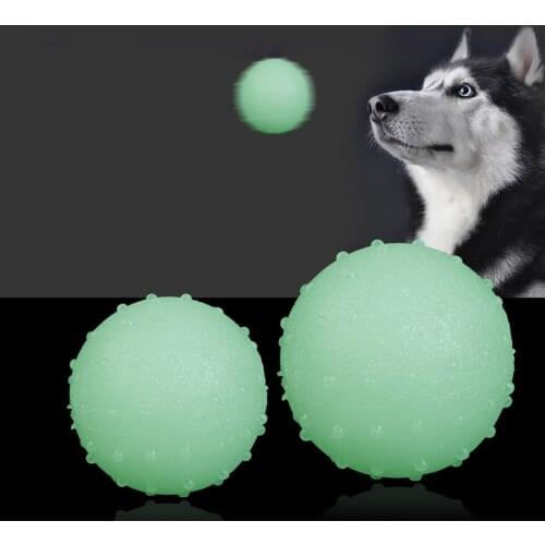 Durable Pet Luminous Ball Rubber Bite Resistant Squeeze Toys Seal Anti-stress Fluorescence Dog Gifts Puppy Interactive Supplies
