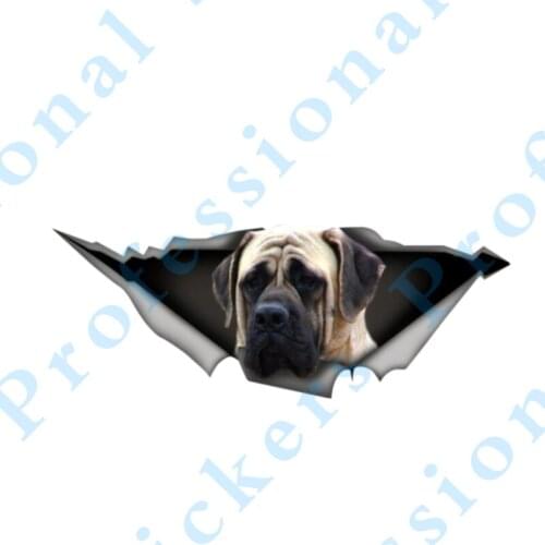 3D Animal 13 x 4.8 Mini donkey car decal 3D Pet Graphic Vinyl Decal Car Motorcycle Laptop Vinyl Animal Car Stickers