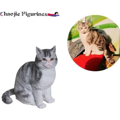 Hand-customization Ruantao Variety Of Souvenir Dolls Handmade Doll Pet Doll Birthday Gift