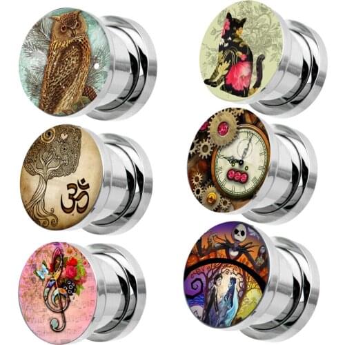 TIANCIFBYJS Surgical Steel Screw Tunnels Ear Gauges Stretcher Expander Plugs kit Flesh Tunnels Plug 00g Piercing Earrings Tunnel