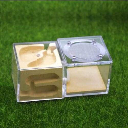 New Design Acrylic Gypsum Nest Stereo Ants Farm House Breeding Insect Nest Pet Home Workshop Reptile Terrarium