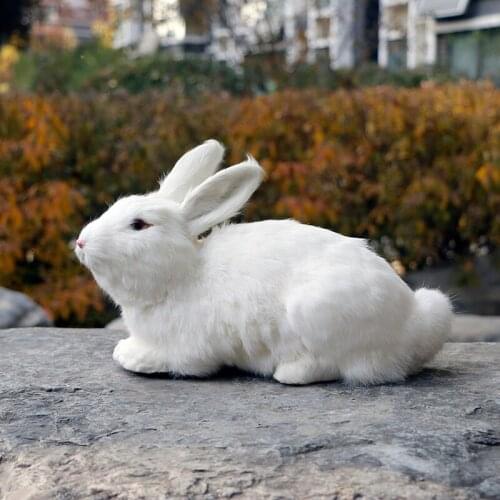 Zhenwei Stuffed Animal Toys