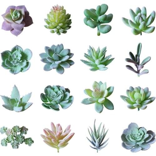 16pcs/set Lifelike Artificial Fake Succulent Decorative Unpotted Artificial Succulents Simulation Plants Set Photography Props