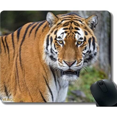 Mouse Pad With Locking Edge,Tiger Predator Big Cat 170608 Gaming Mouse Mat