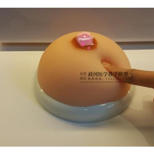 Pure silicone breast model female breast examination model prolactin single teaching model