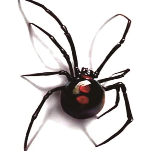 Spider Temporary Tattoo Festival Art Halloween Stickers Cheap Goods Body Jewelry Cool Stuff Fashion Makeup