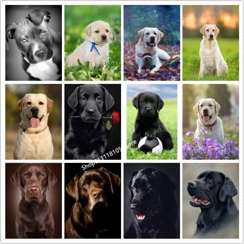 5D DIY Diamond Painting Complete Square/Round Animal Labrador Dog And Football Diamond Inlaid Embroidery Mosaic Home Decoration