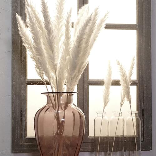 15 Pcs Dried Small Pampas Grass Phragmites Communis Decoration for Home Store Wedding Bulrush Natural Fake Flowers MUMR999