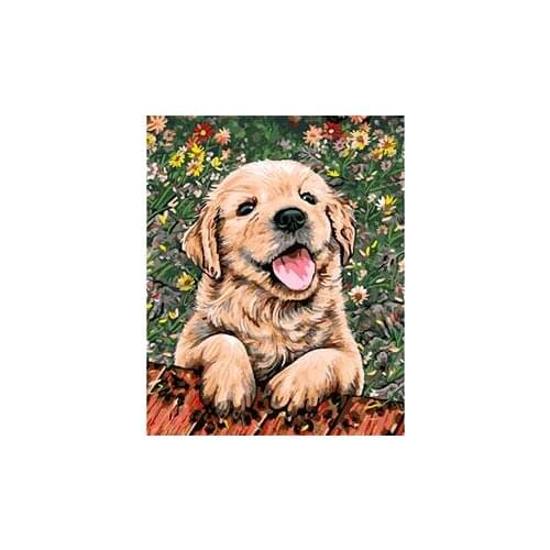 Cioioil-T316 Playful Puppy New arrival unique gift Digital Oil Painting On Canvas framed painting by numbers decorative picture