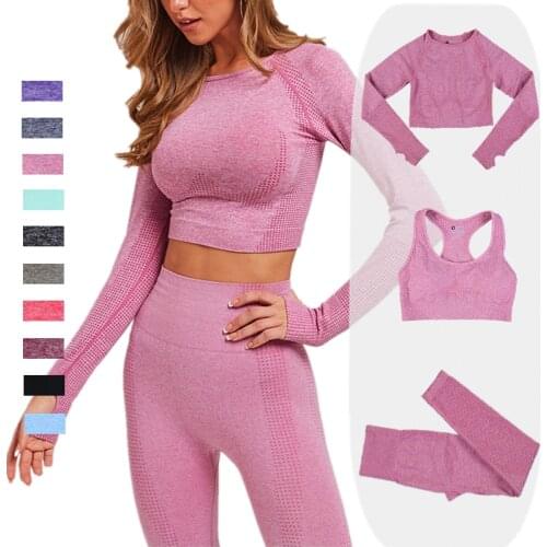 2/3PCS Women Seamless Yoga Set Sportswear Gym Clothing Fitness Long Sleeve Crop Top High Waist Leggings Sports Suits Tracksuit