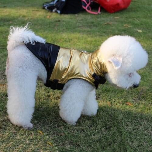 Dogs Autumn Winter Hoodie Thicking Warm Jacket Waterproof Breathable Glossy Pet Coat With Leash Buckle Party Outfits HotSell