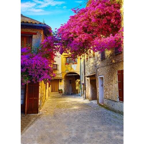 Villa rich district street flowers summer sunny day photo background photography props