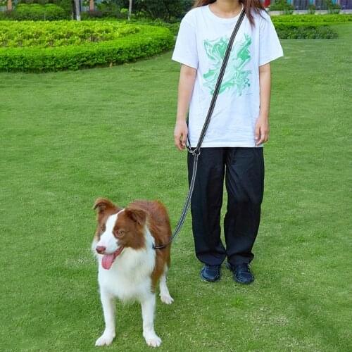 Dog Leash Hands Free Leashes for Dogs Walking Multifunction Dog Leash Pet Products for Dogs Double Leashes Pets Accessories Belt