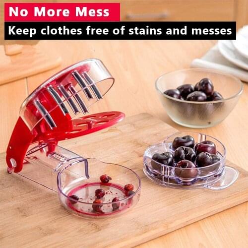 6 Hole Cherry Corer With Container Cherries Pitter Olive Stoner Remover Pitting Tool Kitchen Gadgets