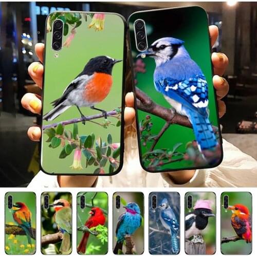 Magpie bird animal Phone Case For Samsung galaxy A S note 10 7 8 9 20 30 31 40 50 51 70 71 21 s ultra plus