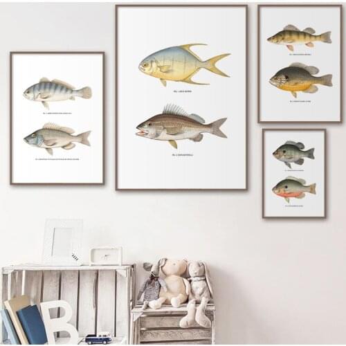 Modern Nursery Fish Wall Art Canvas Painting Cartoon Nordic Posters and Prints Wall Pictures for Baby Kids Room Home Decoration