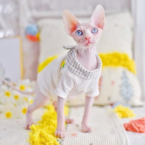 Literary Sphynx Cat Clothes Pineapple Fashion Kitty Wearing Comfort Spring summer Sphinx Hairless Cat Clothing