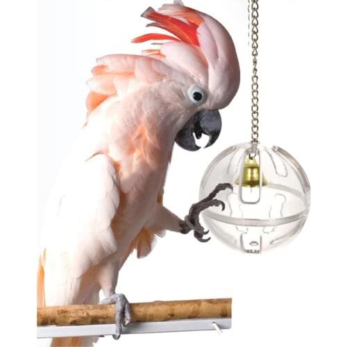 Pets Bird Parrot Food Feeder Foraging Bell Chain Ball Cage Feeding Chew Toy