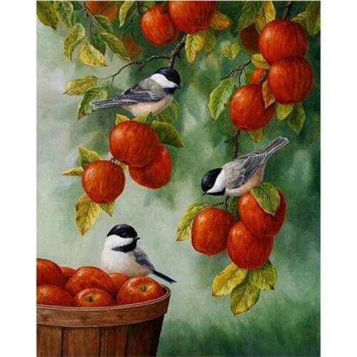 Bird Paint By Number On Canvas With Frame Animal DIY Craft Kits For Adults For Drawing Coloring By Number Picture Home Decor Art