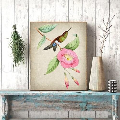Hummingbird and Botanical Art Print Eucnemis Chrysorama Vintage Bird Illustration Poster Wall Art Canvas Painting Home Decor