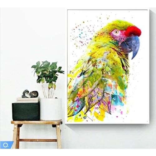 Colorful Parrot Wall Paintings Animal Bird Canvas Posters and Prints Modern Decoration Pictures for Living Room Home Decor