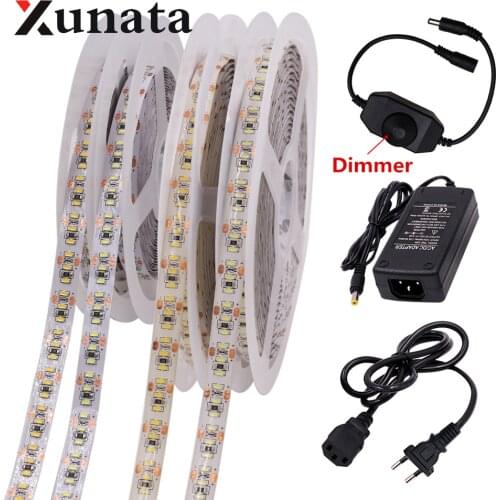 3014 LED Strip Lighting 204LEDs/m DC 12V Waterproof Flexible Tape Rioon LED Light Lamp With Dimmer Plug EU US AU UK Optional 5m